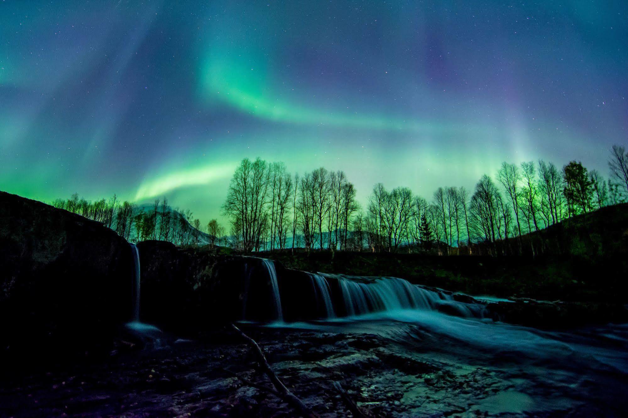 Saltdal Turistsenter Villa Storjord ภายนอก รูปภาพ